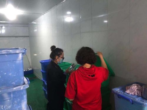 筑牢餐飲安全防線 市衛健委開展餐飲具集中消毒服務單位專項檢查