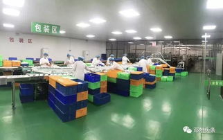 鄧州突擊檢查曝光 一次性餐具清潔現場觸目驚心